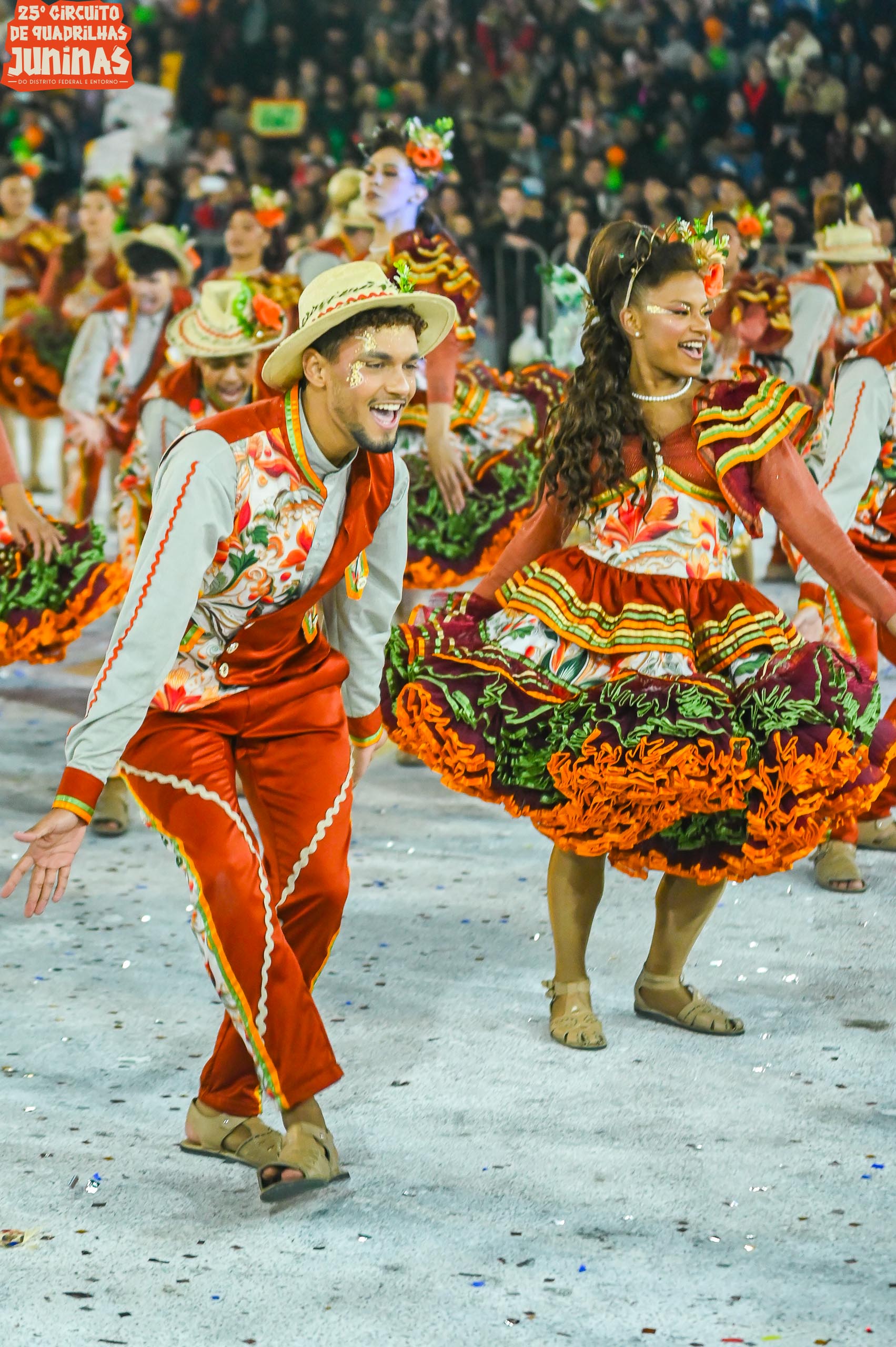 Ribuliço — Ceilândia/DF — Grupo Especial | LINQ-DFE